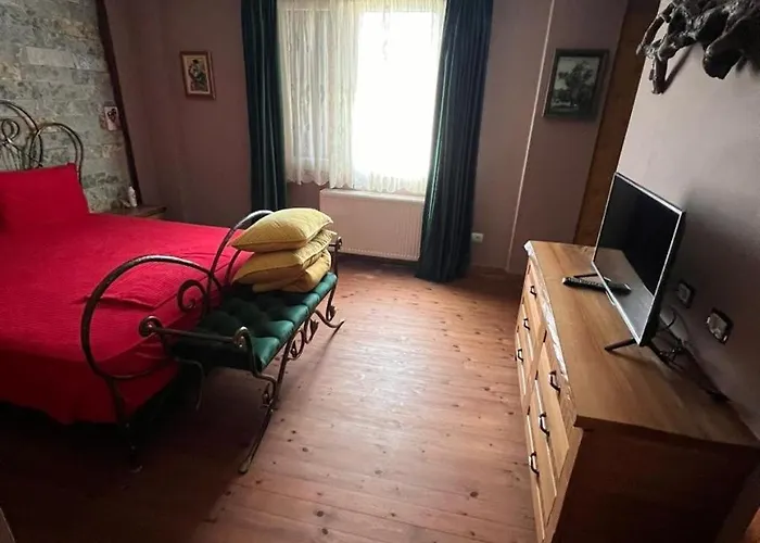 Bujtina Vjosa Memaliaj