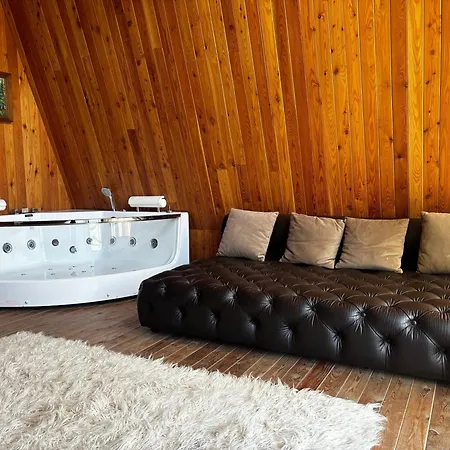 Bujtina Vjosa Guest house *