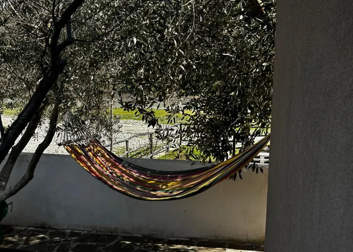 Bujtina Vjosa 3*