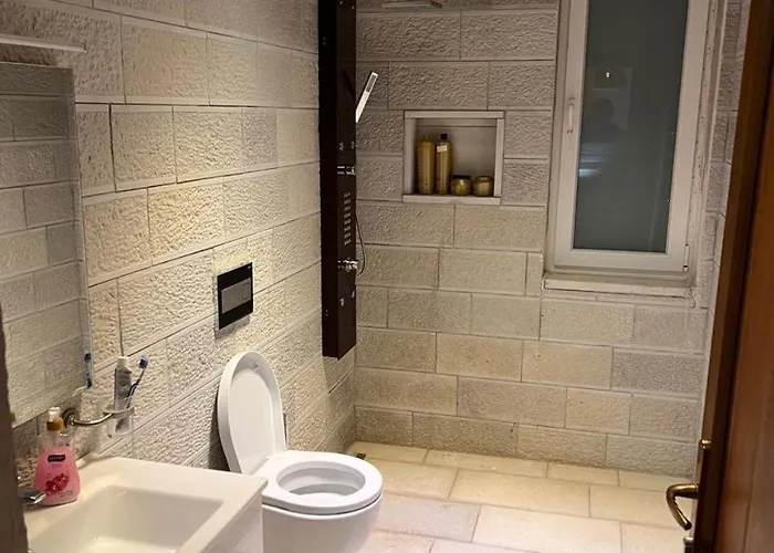 Bujtina Vjosa Memaliaj